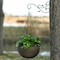 Gardenised Decorative Metal Wall Mounted Hook for Hanging Plants, Bracket Hanger Flower Pot Holder, PK 2 QI003983.2 - alternate 6